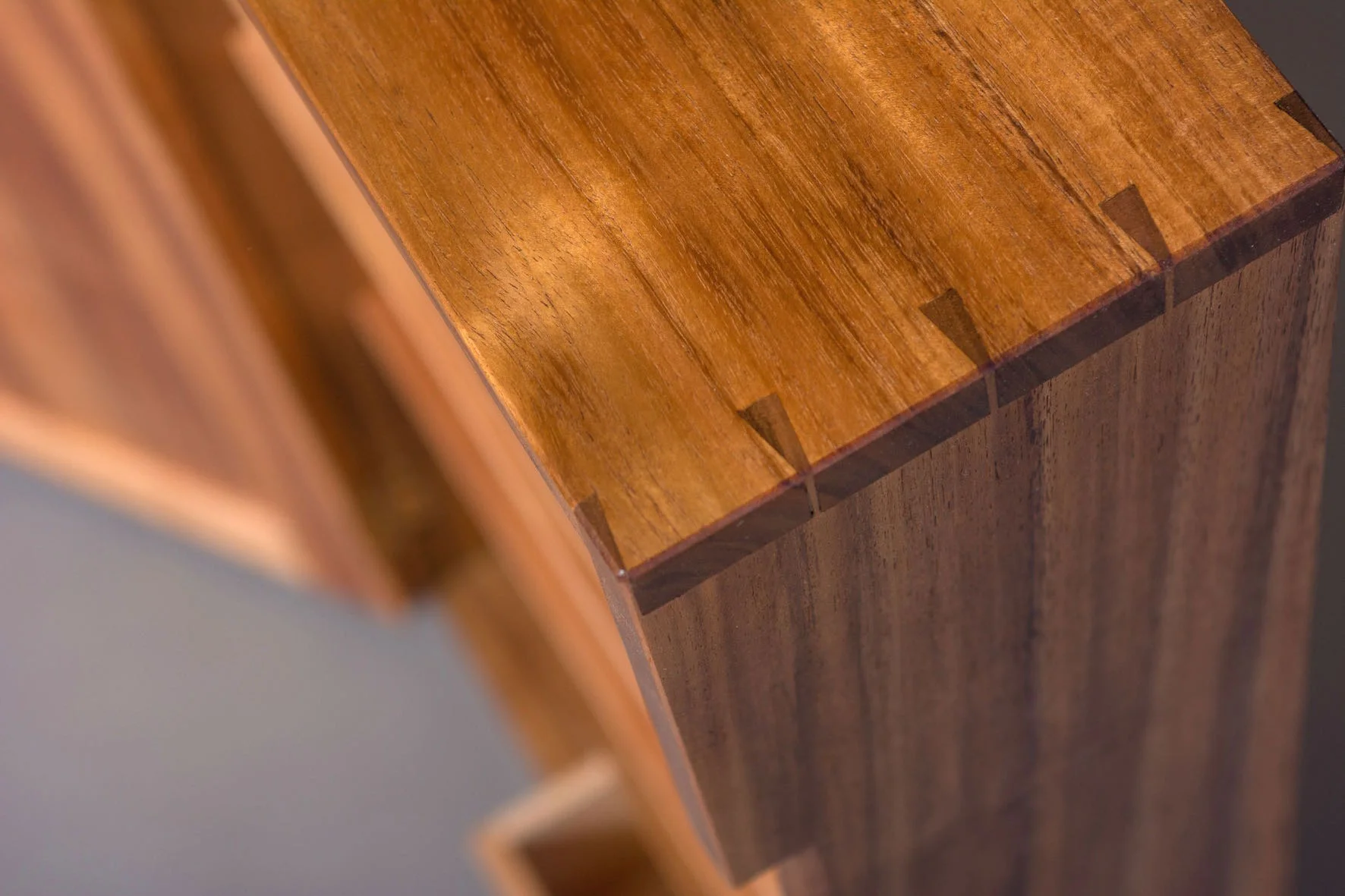 Blackwood Cabinet5 copy.jpg