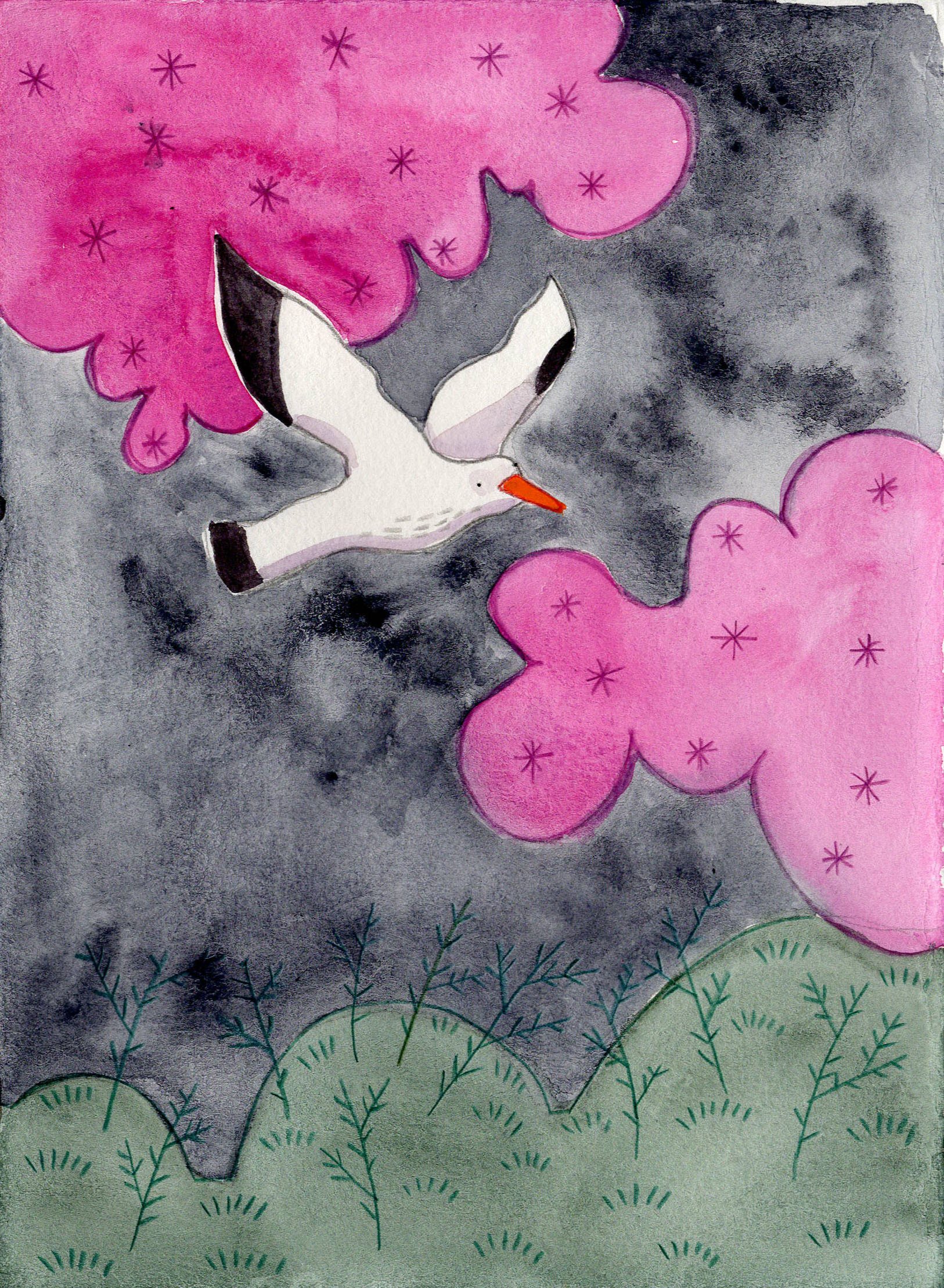 Seagull, 2022