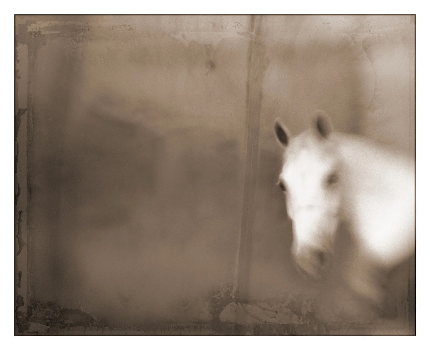 Personal-Work_0006.JPG