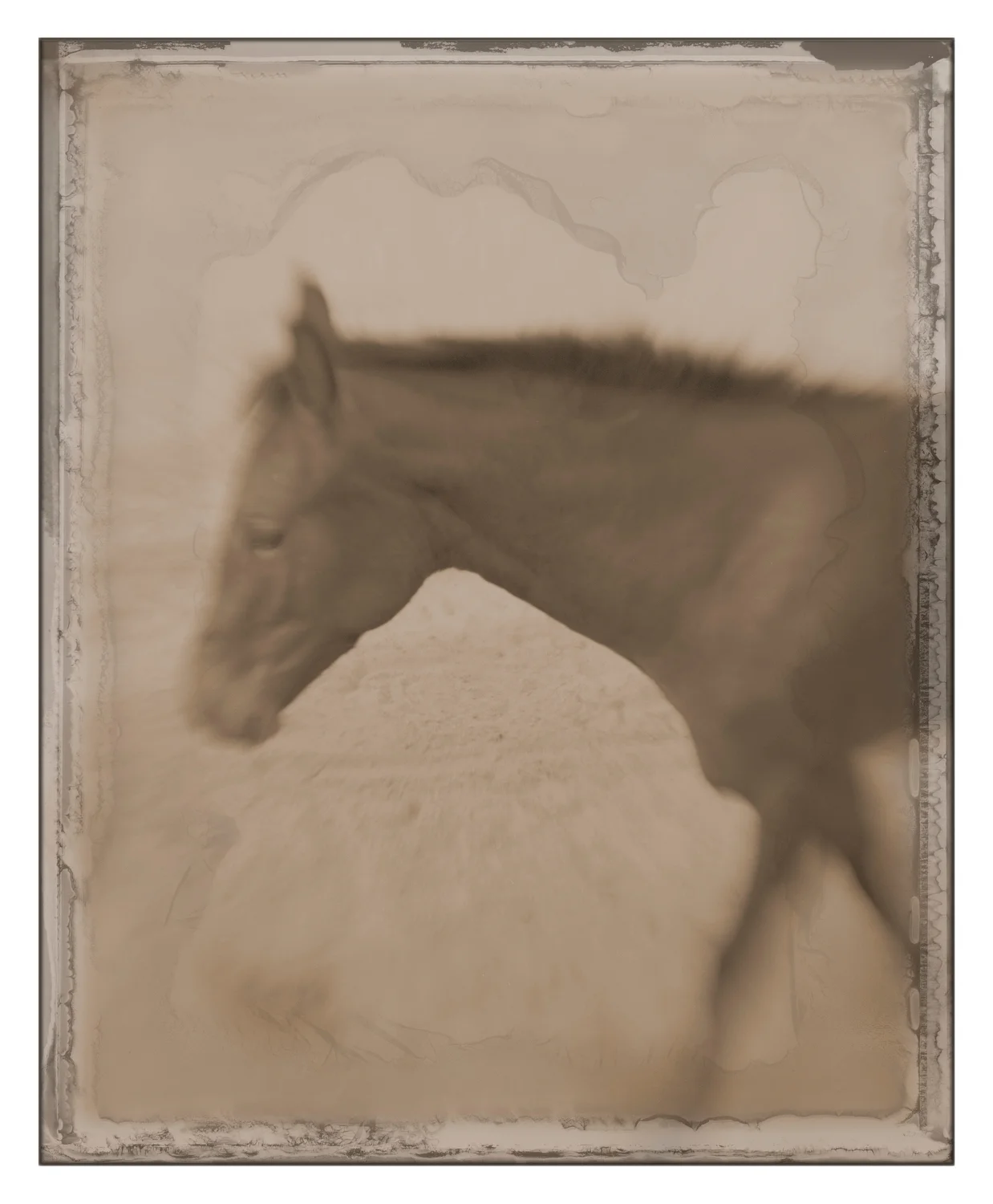 Personal-Work_0021.JPG