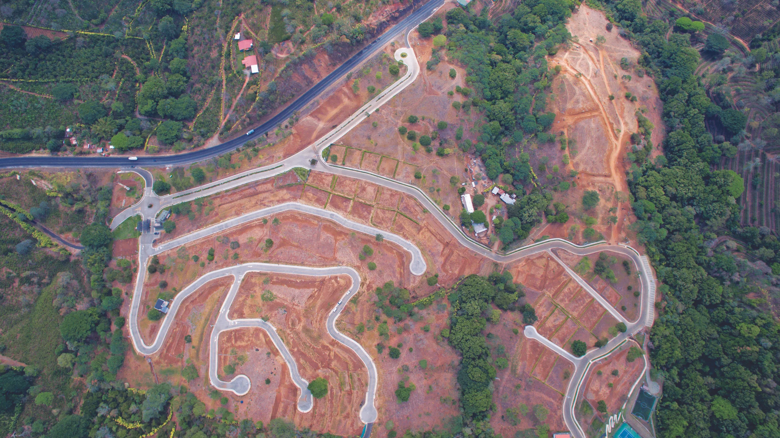 06.jpg