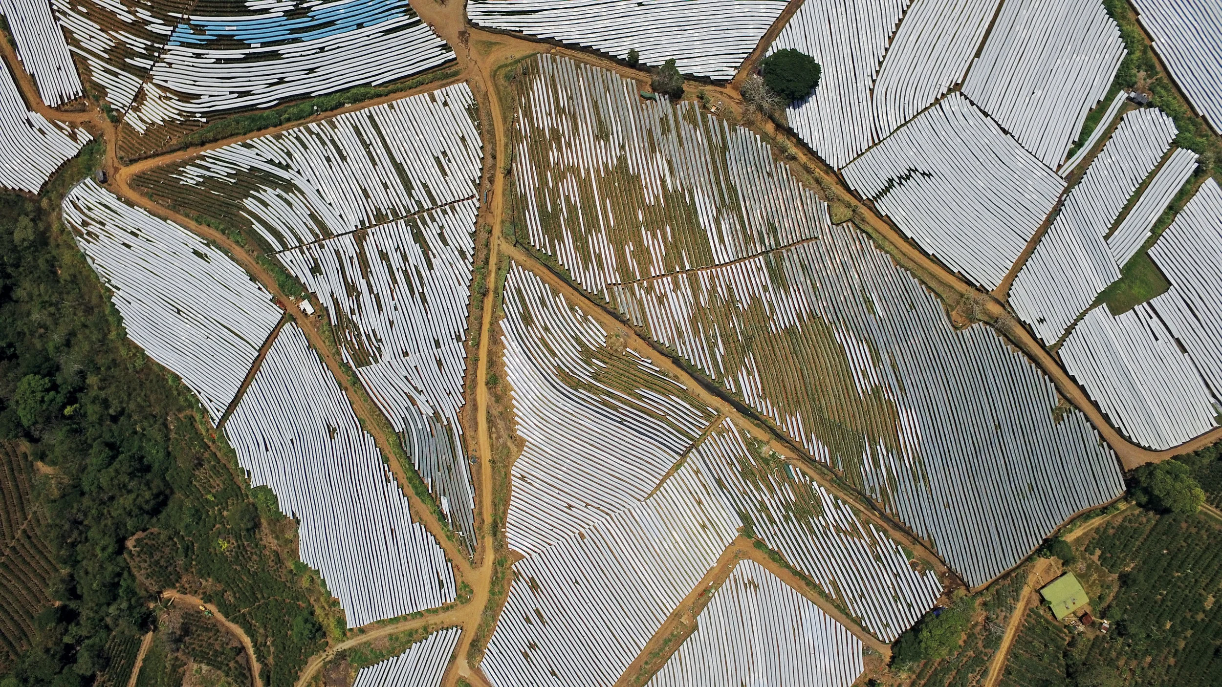 DJI_0052.jpg