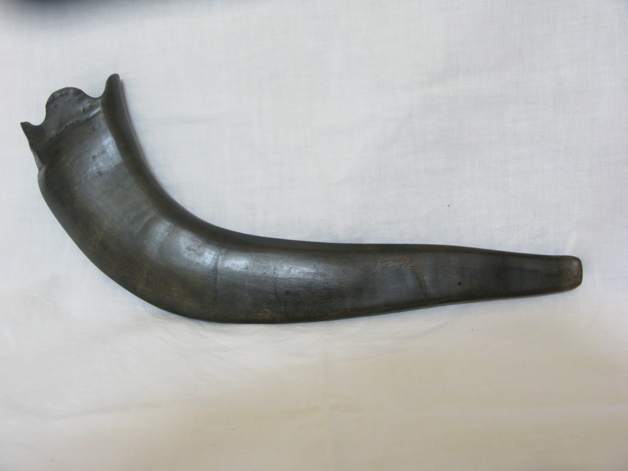 My grandfather's shofar 