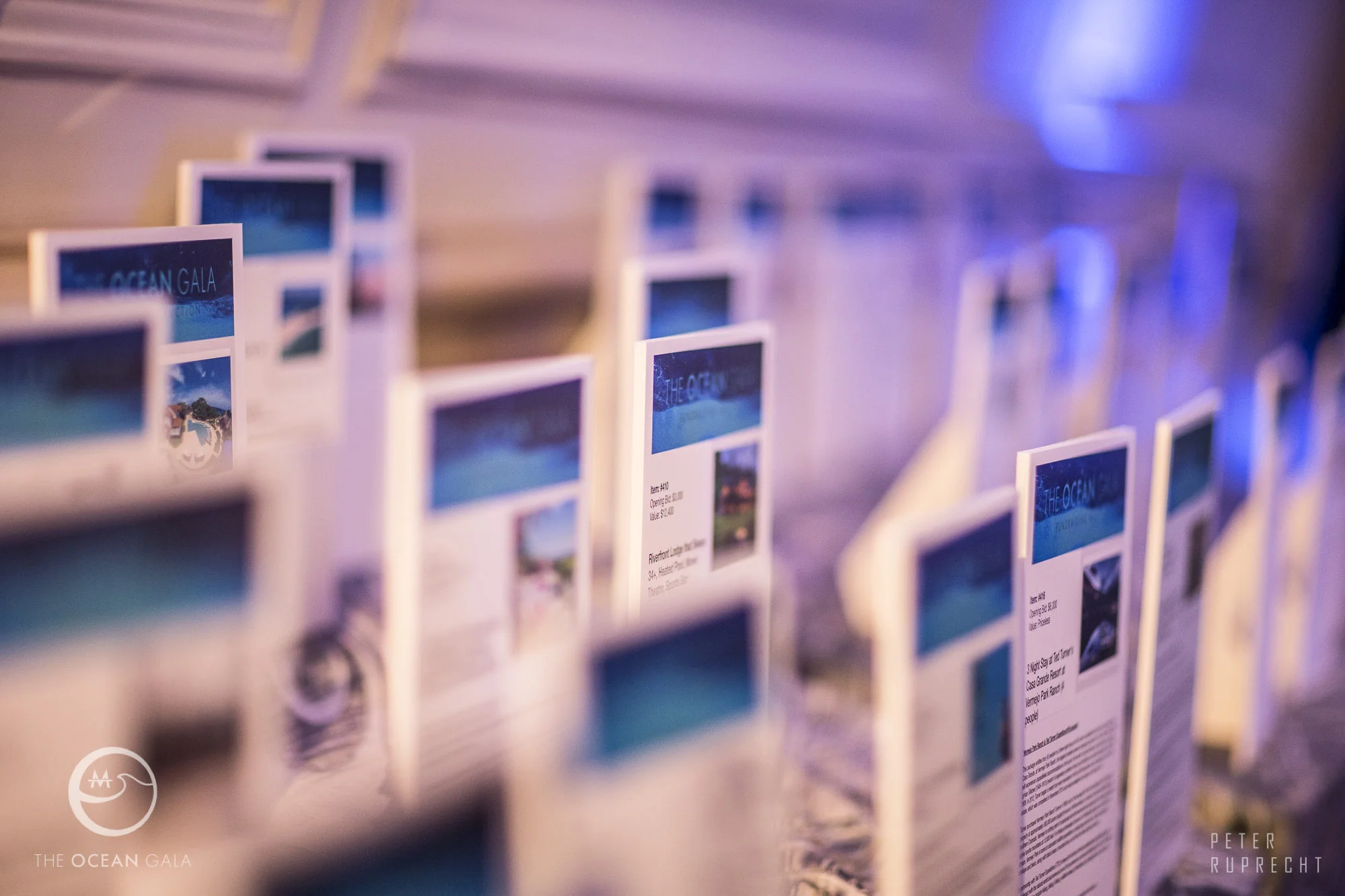 Photo: Peter Reprecht