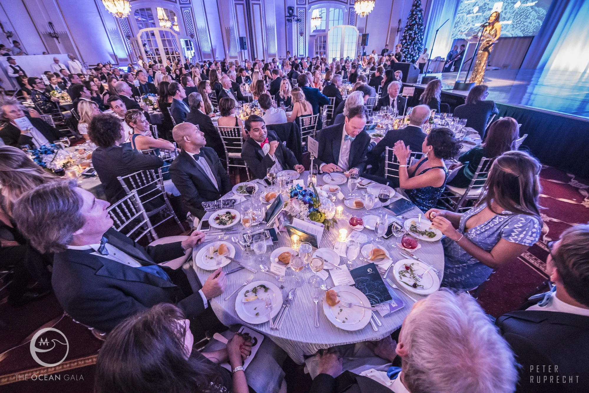 Photo: Peter Reprecht