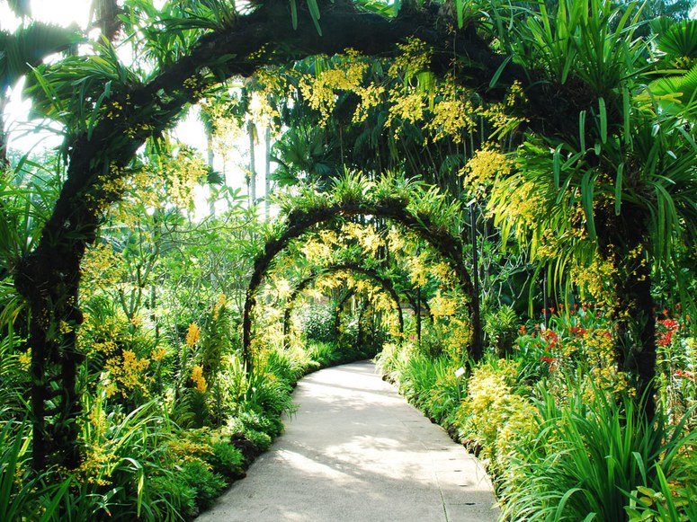 Singapore's Botanic Gardens