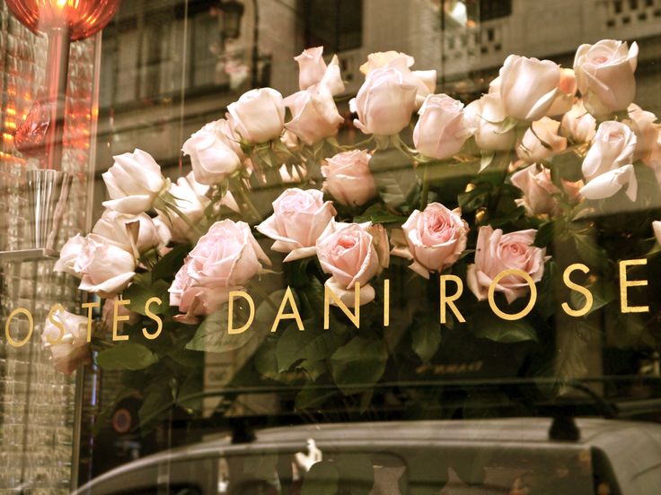 Roses Costes Dani Roses (1éme)