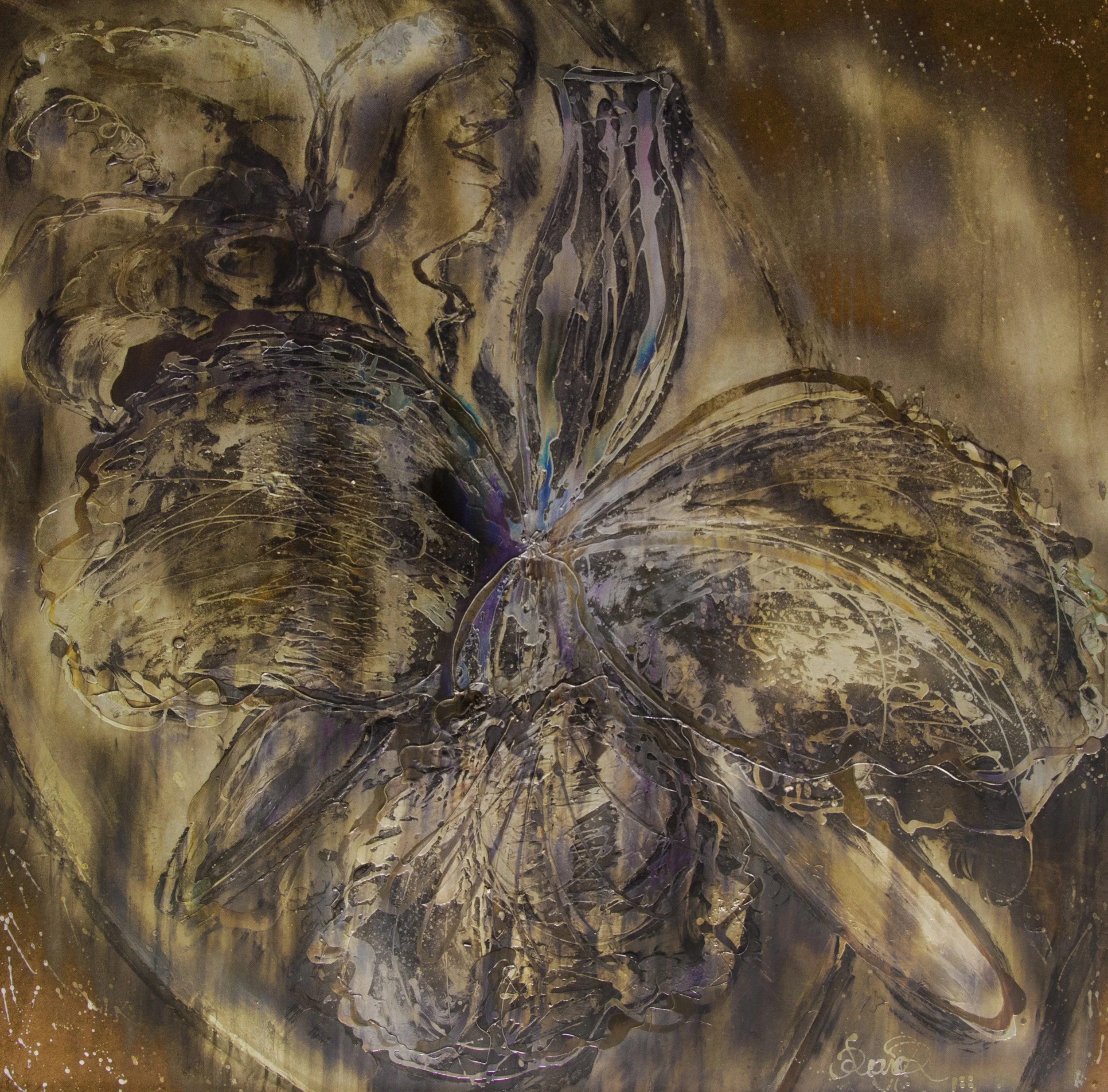Cattleya - Silver on board - 48” x 48”