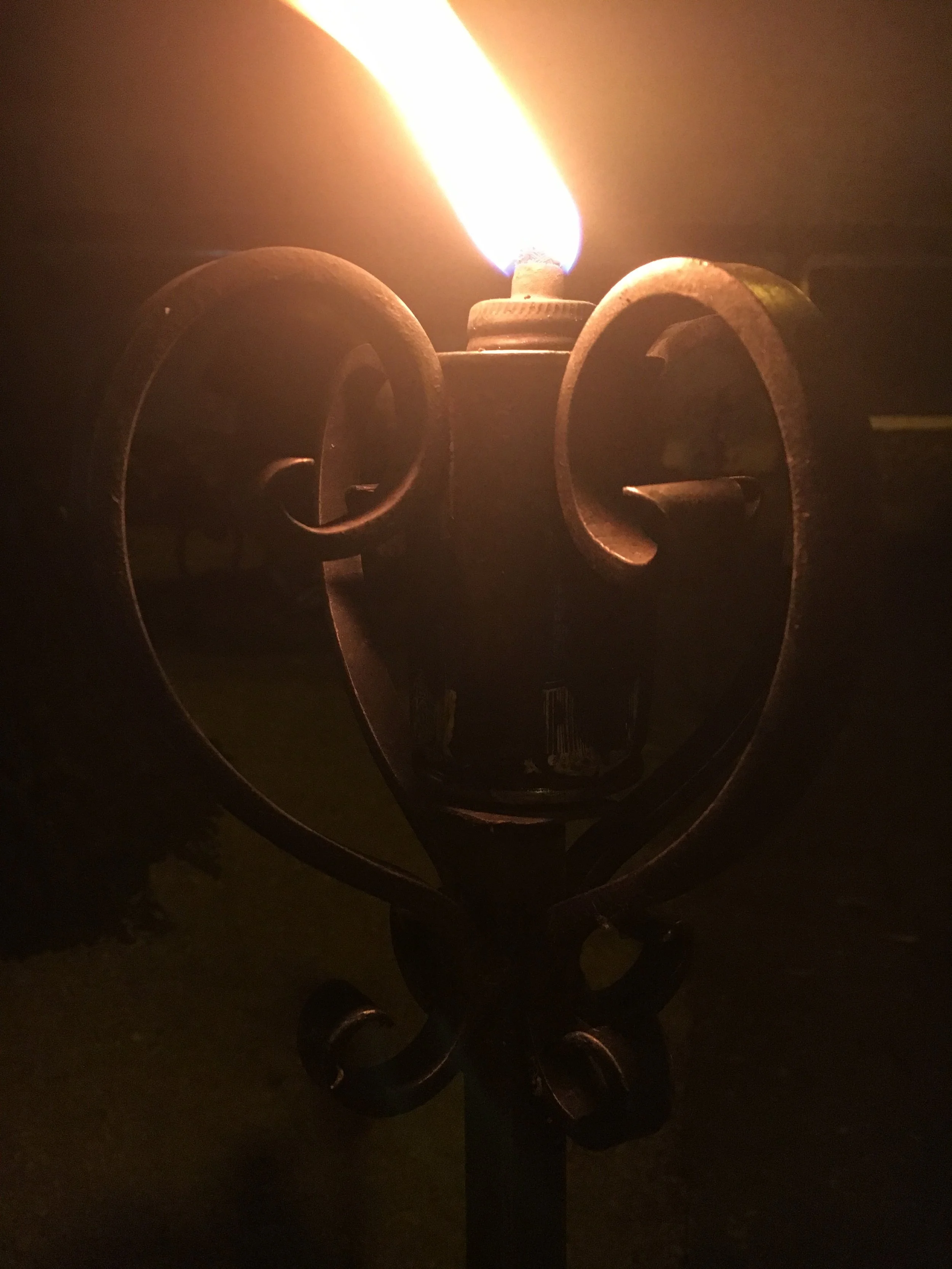 A Field Guide Through the Next Chapter....?