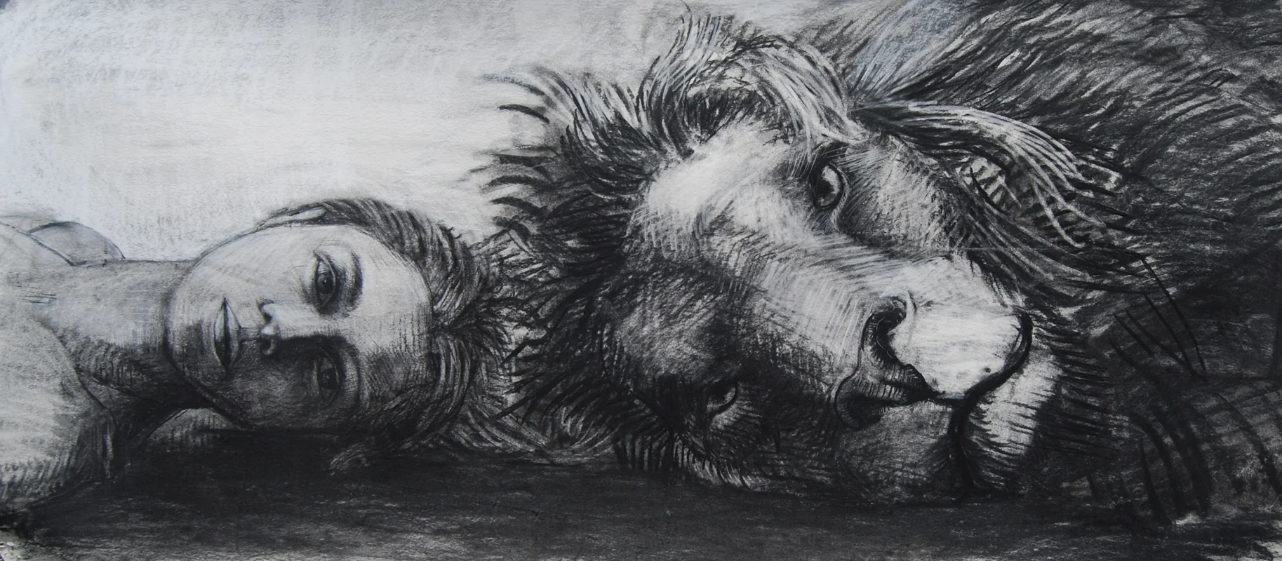 Eye to Eye - 19x40in. Charcoal 2010