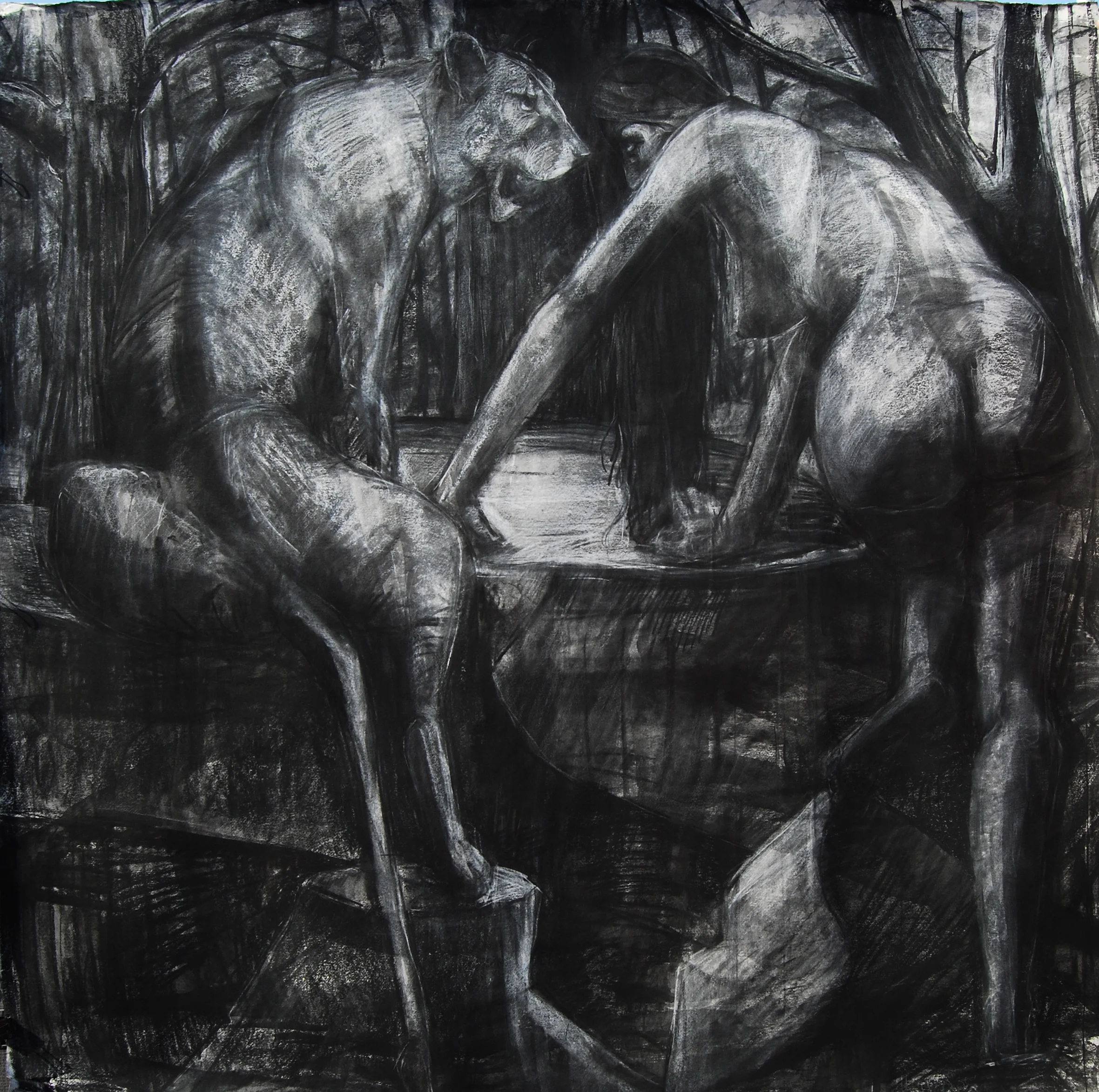 Emerge 50x60in. Charcoal 2009