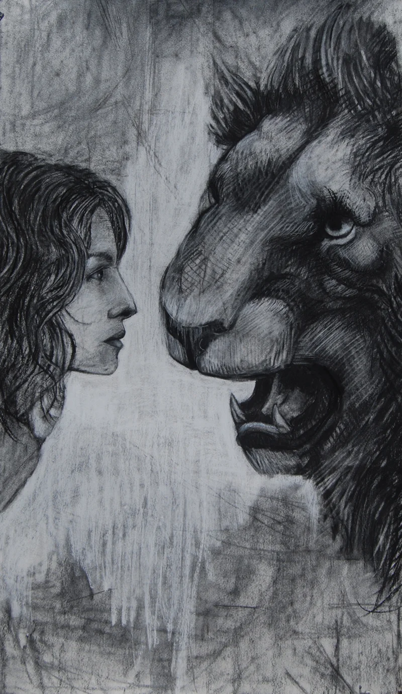 Mirror Mirror 22x40in. Charcoal 2010