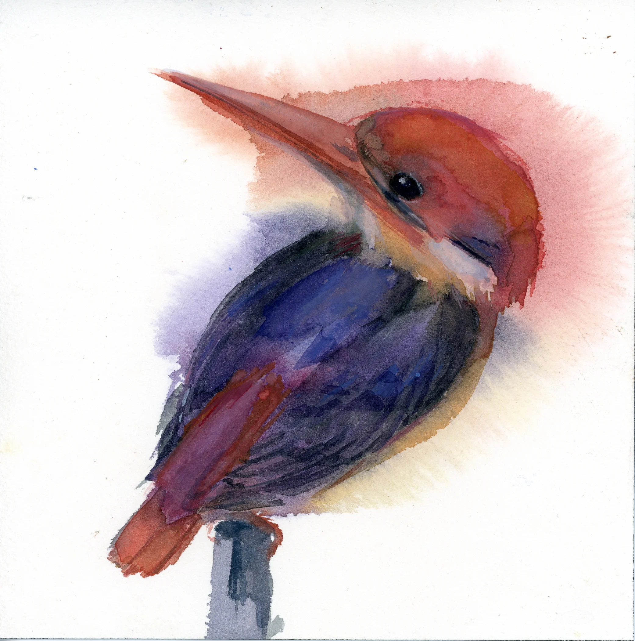 OrientalDwarfKingfisher_Watercolor_HollyWach_19033.jpg