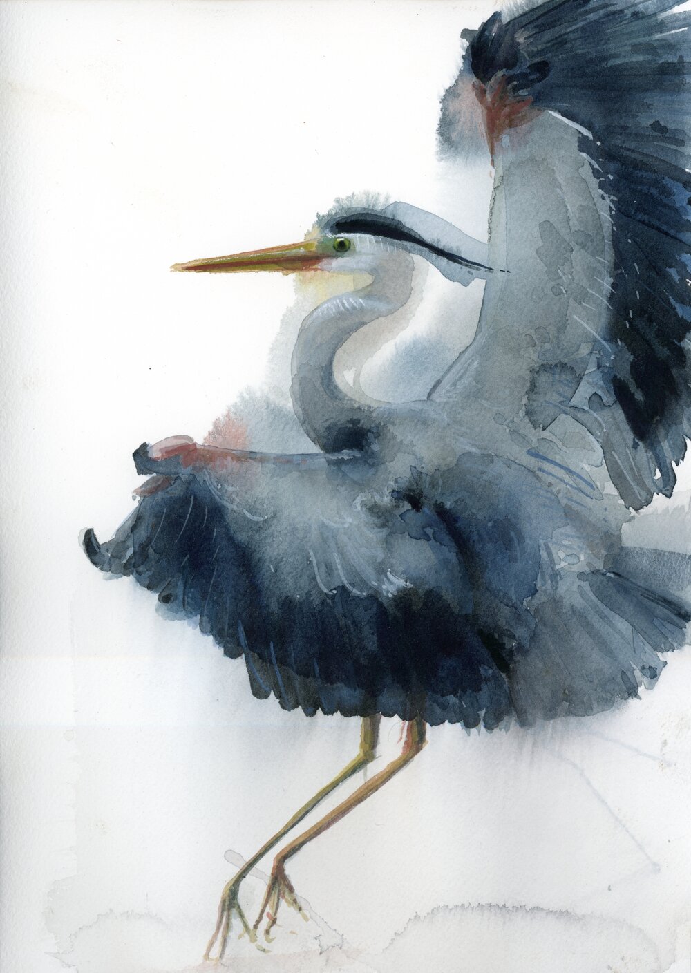 Jane Wilcoxson Studios - Oil pastels and Dr Ph Martins watercolor. Wax  resist. #waxresist #birdartists #imaginationbirds🐤