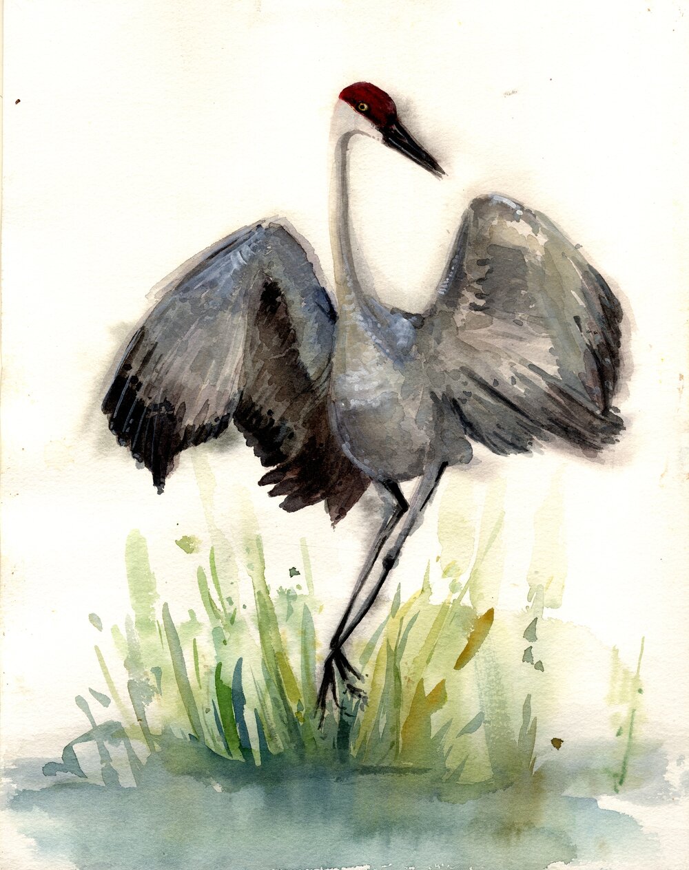 Jane Wilcoxson Studios - Oil pastels and Dr Ph Martins watercolor. Wax  resist. #waxresist #birdartists #imaginationbirds🐤