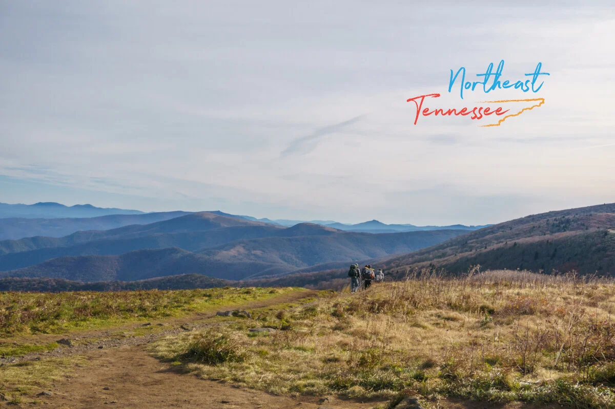 Northeast Tennessee's 2020 Video Campaign