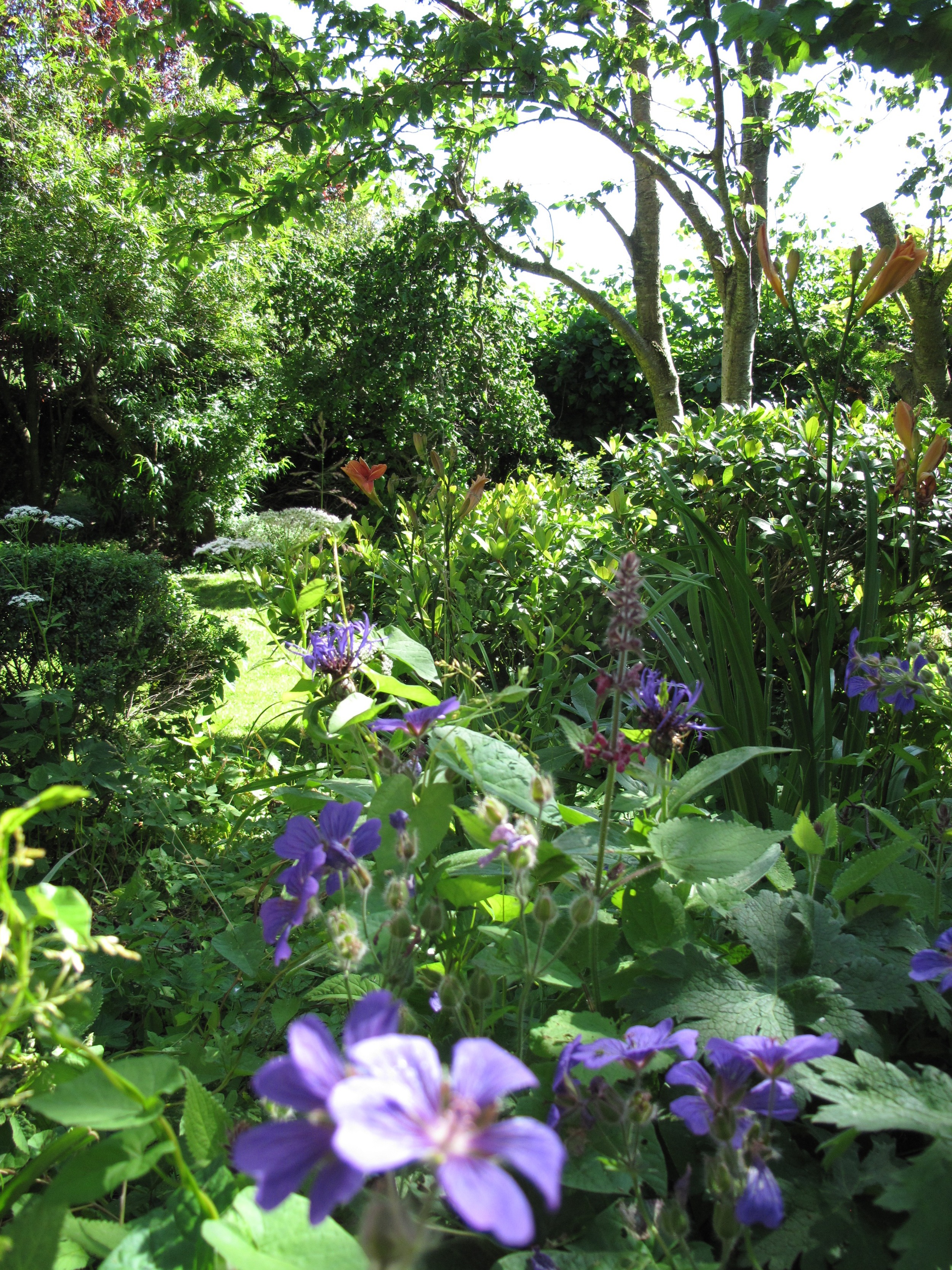 Garten