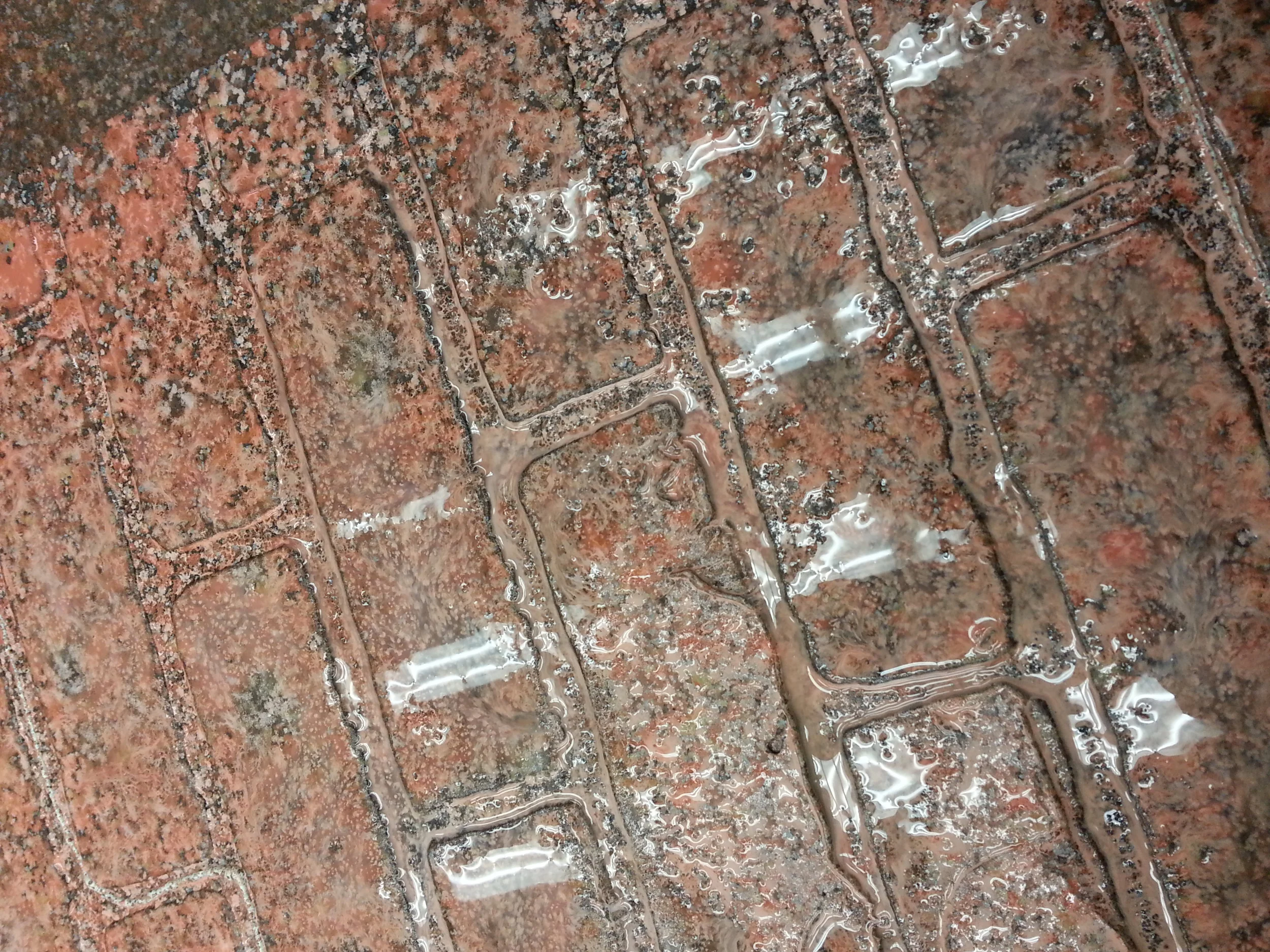 20140304_220020.jpg