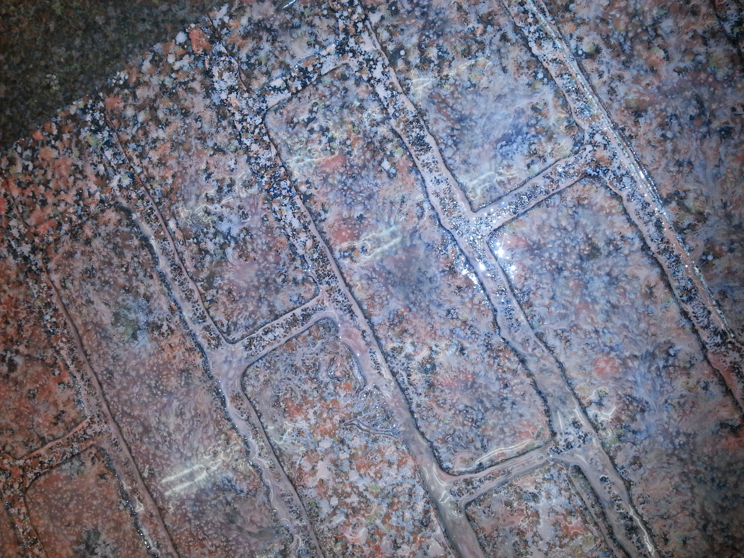 20140304_220012.jpg