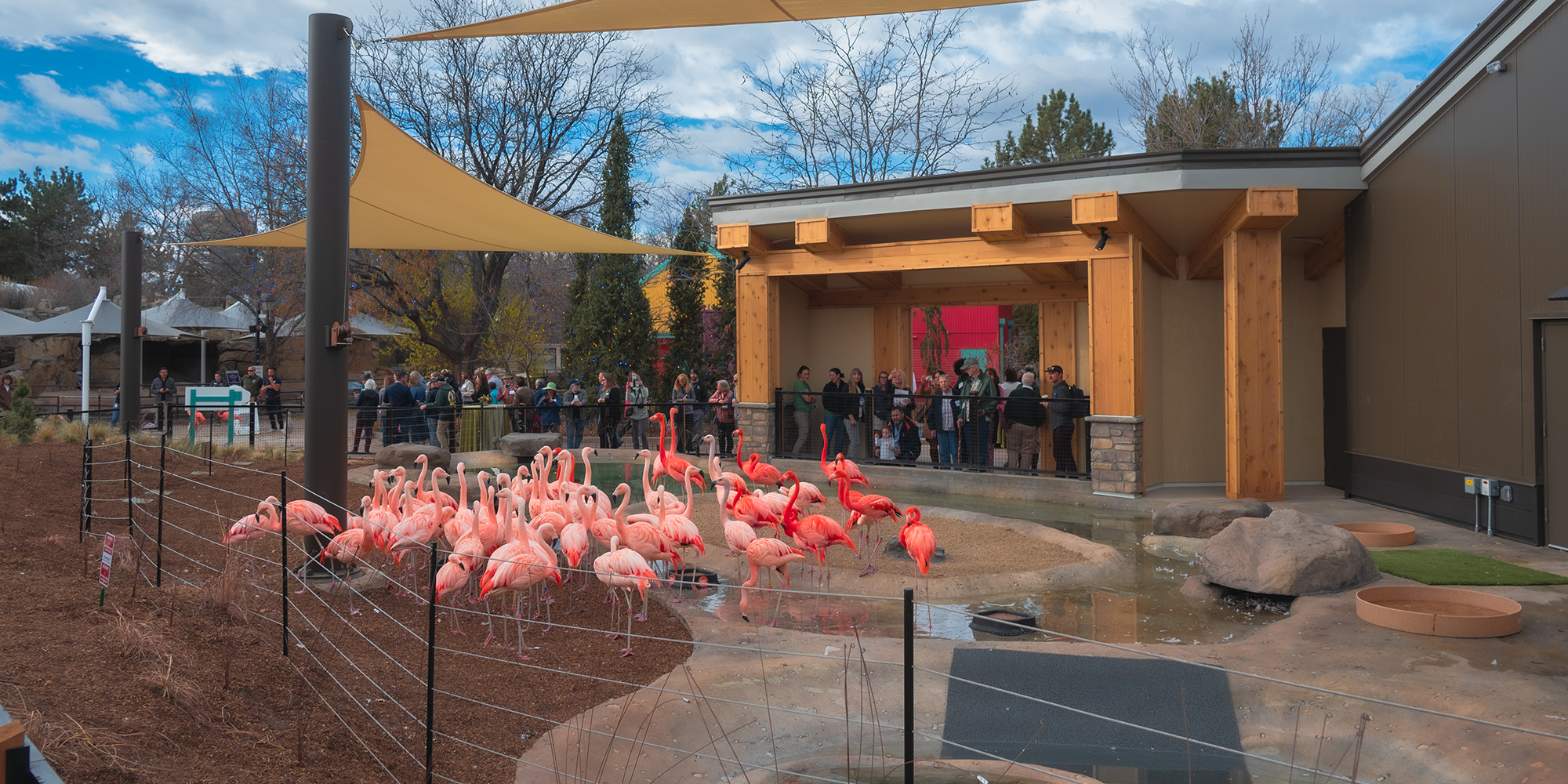FlamingoExhibit.png