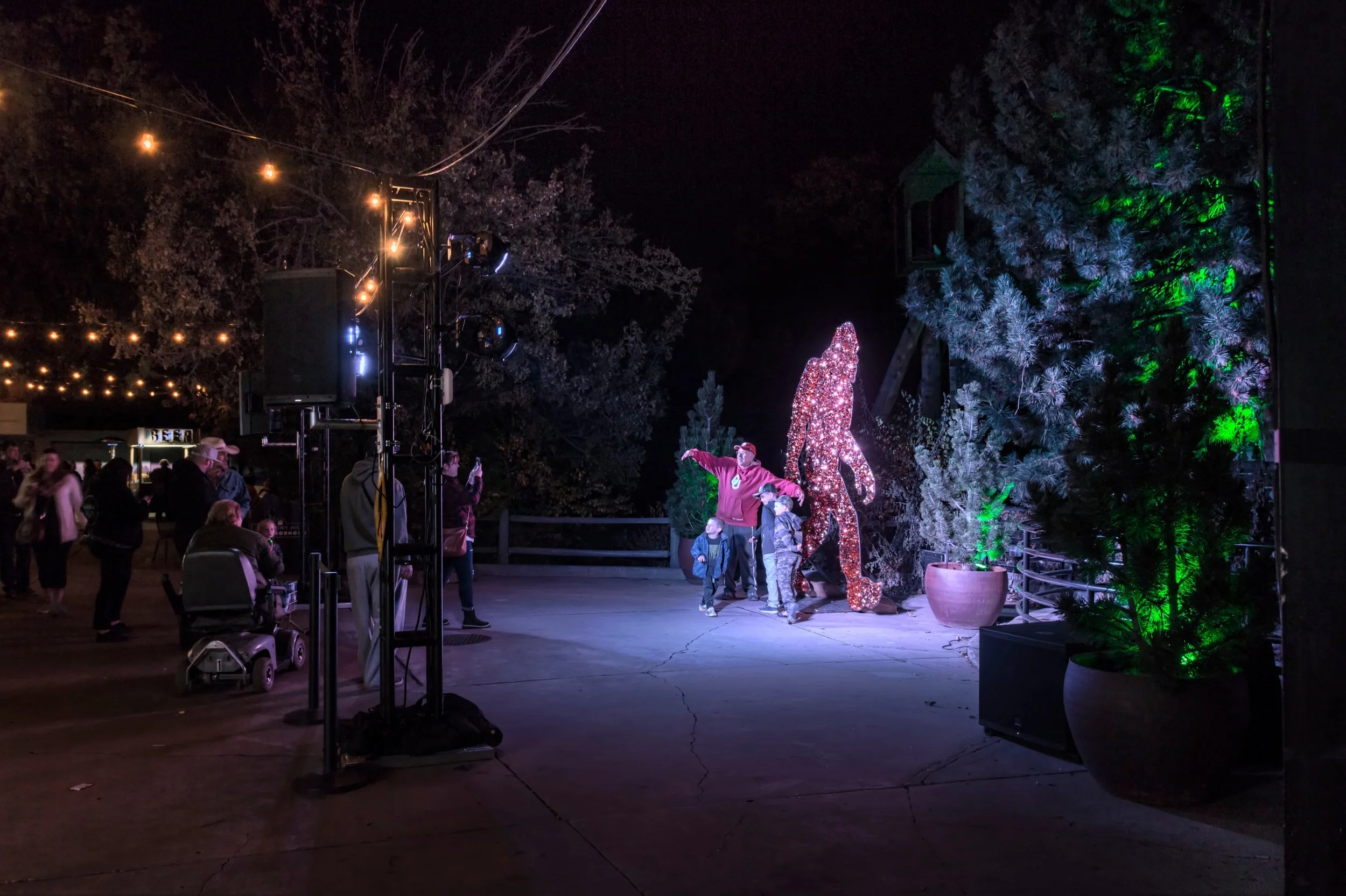 4186.00 - Denver Zoo 2019 - Woodland Hollow and Harmony Hill -  (13).jpeg