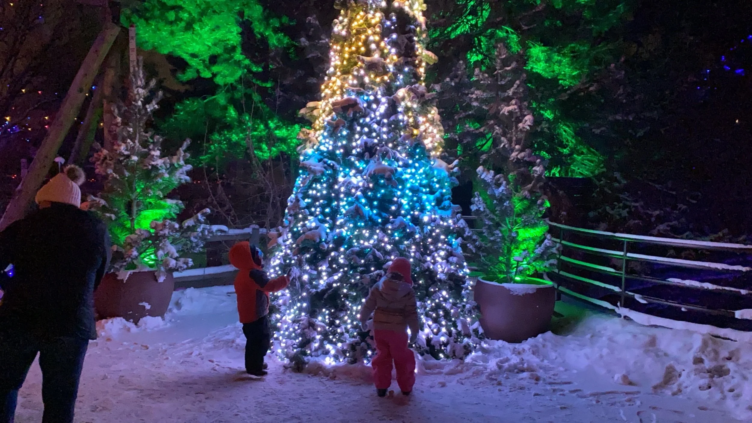 4600.00 - Denver Zoo - Pixel Pine Audio Support - 01.jpeg