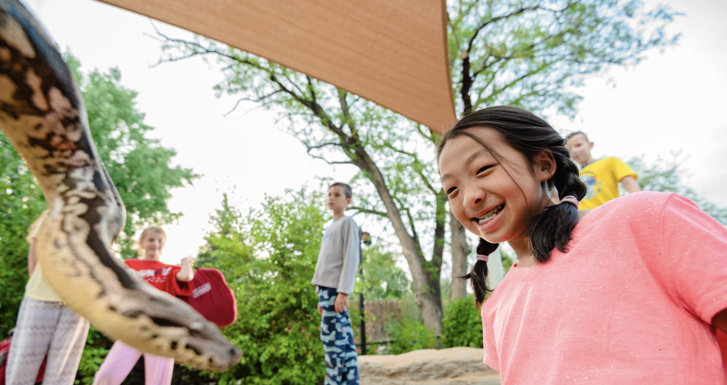 Screen Shot 2022-05-15 at 10.21.48 PM.png