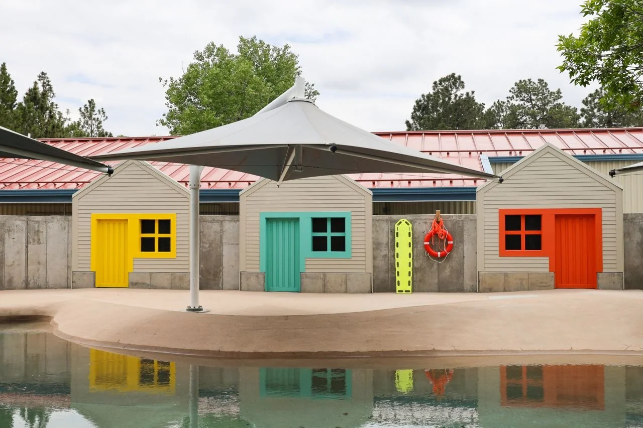 Denver Zoo Sea Lions
