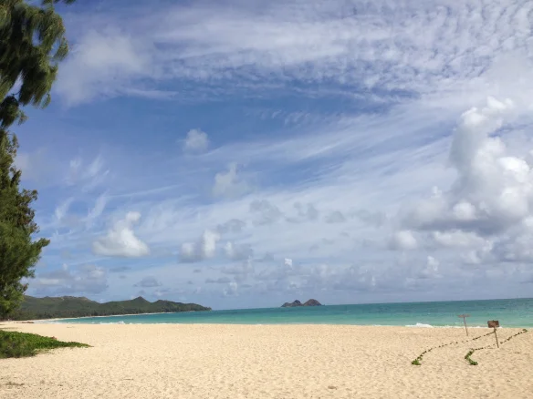 2-waimanalo-beach-ceremony-hawaii.jpg