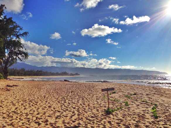 2-north-shore-beach-best-day-ever-hawaii.jpg