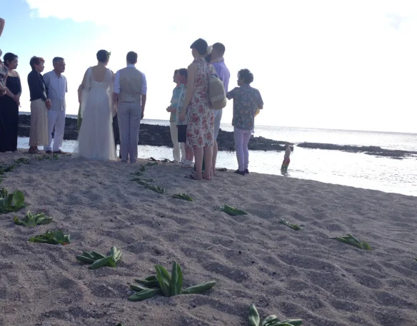 paradise cove beach hawaii wedding.jpg