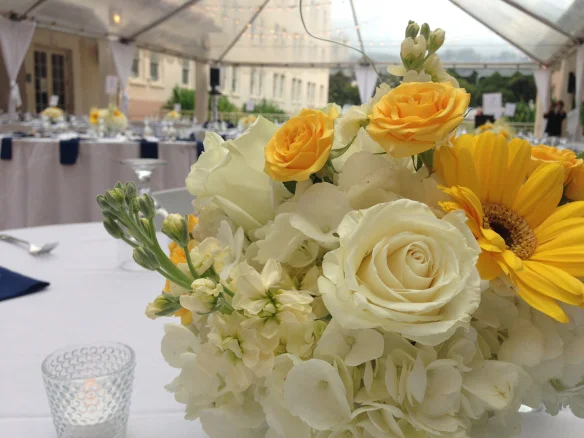 hawaii state art museum wedding.jpg