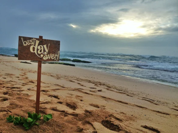 2-best-day-ever-hawaii-beach-wedding.jpg