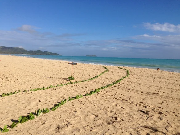 3-waimanalo-beach-wedding.jpg