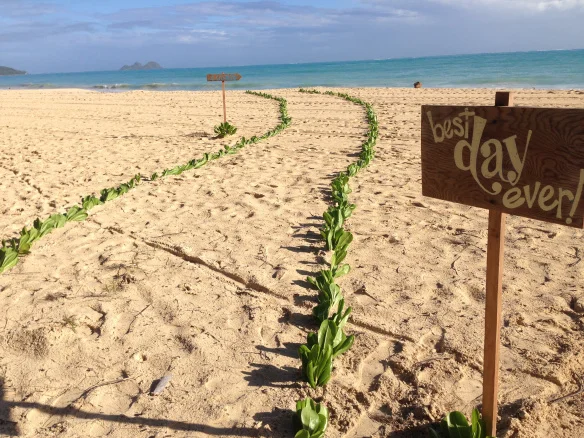 4-waimanalo-beach-wedding-ceremony.jpg