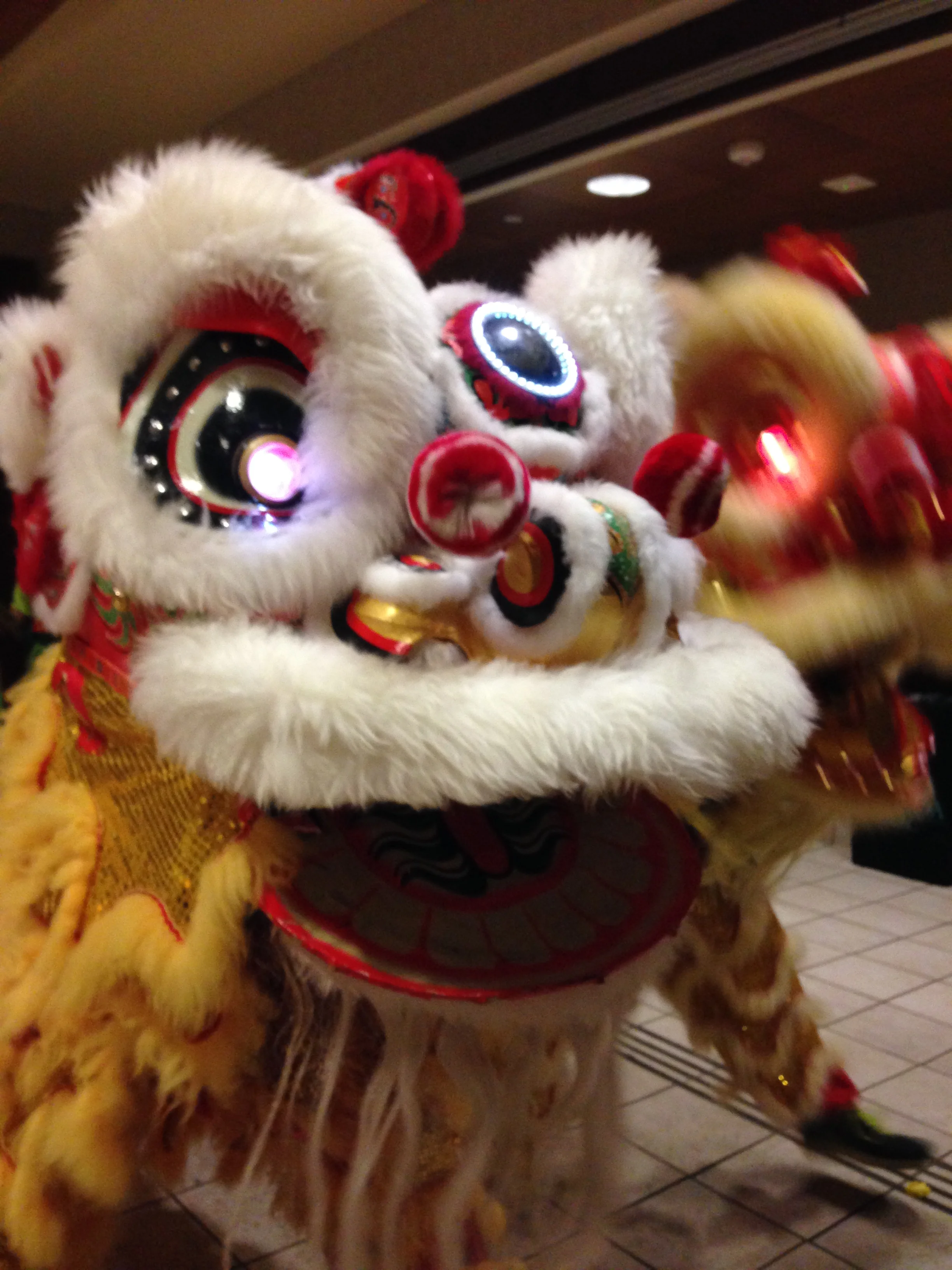 27-hawaii-lion-dance.JPG
