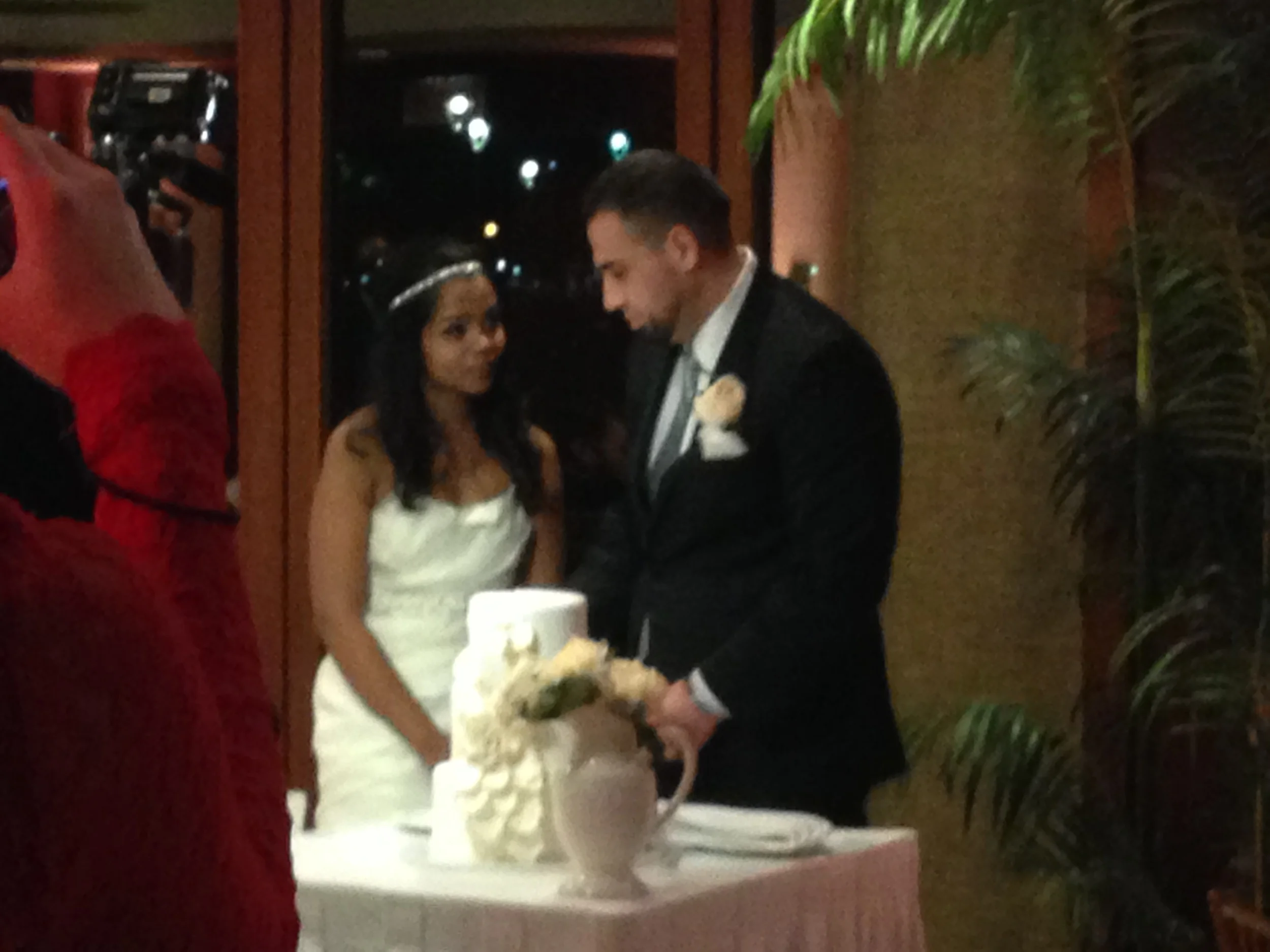 20-shanna-daniel-cake-cutting-hawaii.JPG