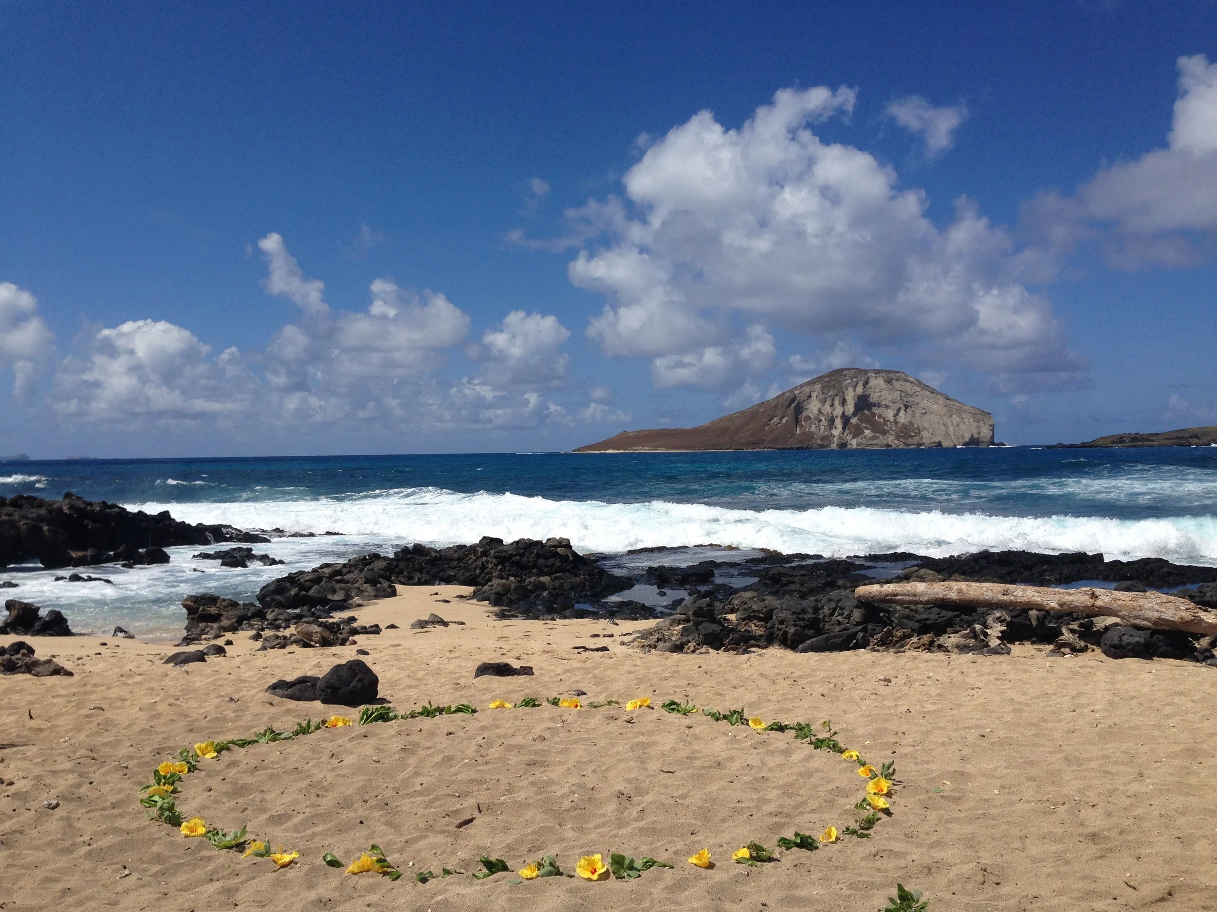 4-makapuu-beach-wedding-3.JPG