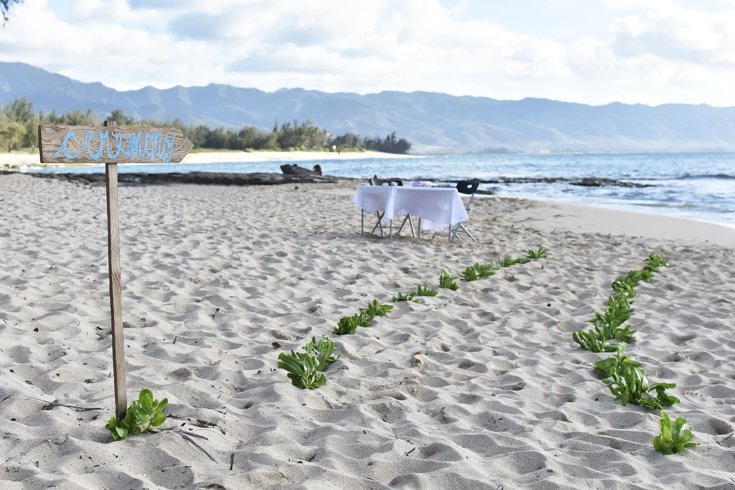 2-papailoa-beach-north-shore-wedding.jpg