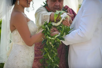 71-banyan-tree-estate-hawaii-wedding-ceremony.jpg