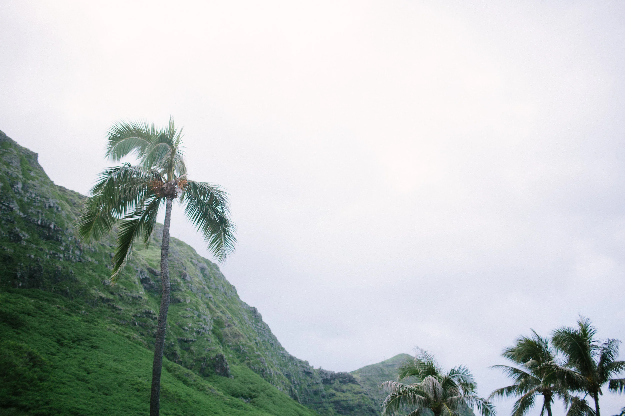 40-waimanalo-bay-beach-wedding.jpg