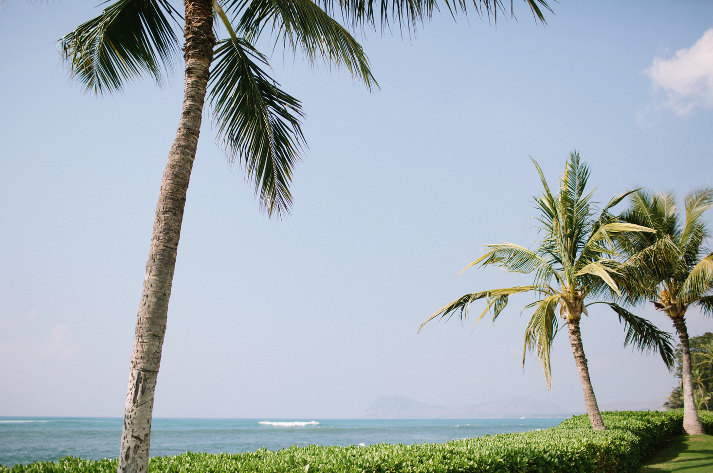 Screen Shot 2016-03-18 at 3.45.58 PM.png