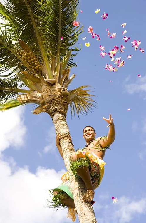 Screen Shot 2016-03-18 at 3.41.46 PM.png