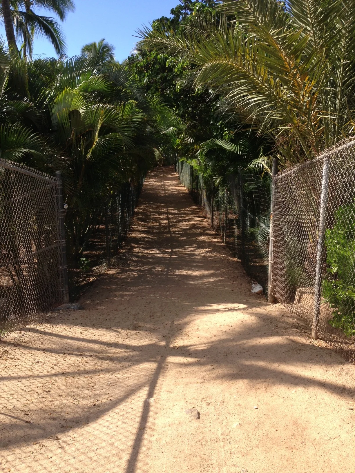 Short pathway from parking area to the beach.&nbsp;