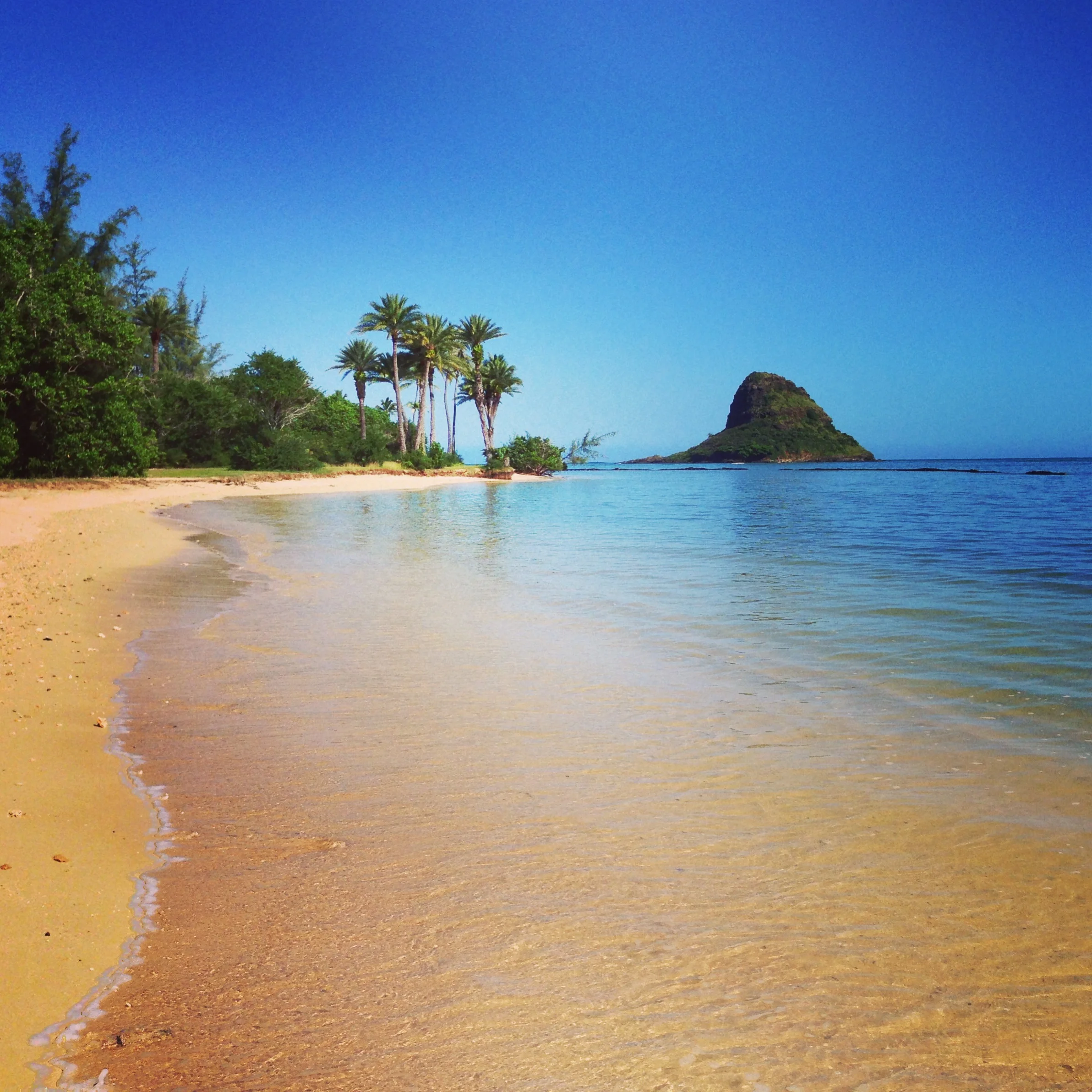 49-479 Kamehameha Hwy, Kaneohe, HI 96744