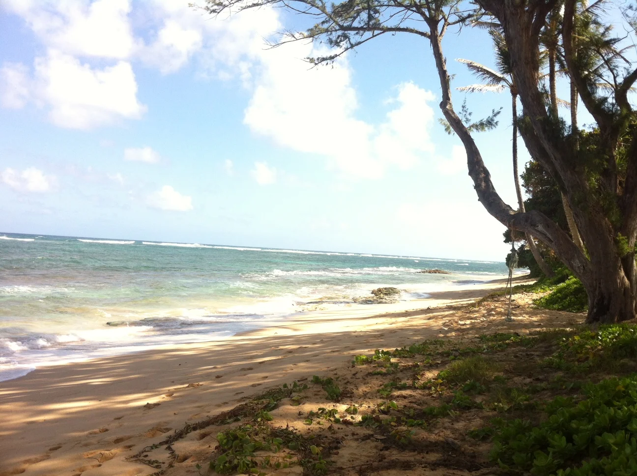 oahu-beach