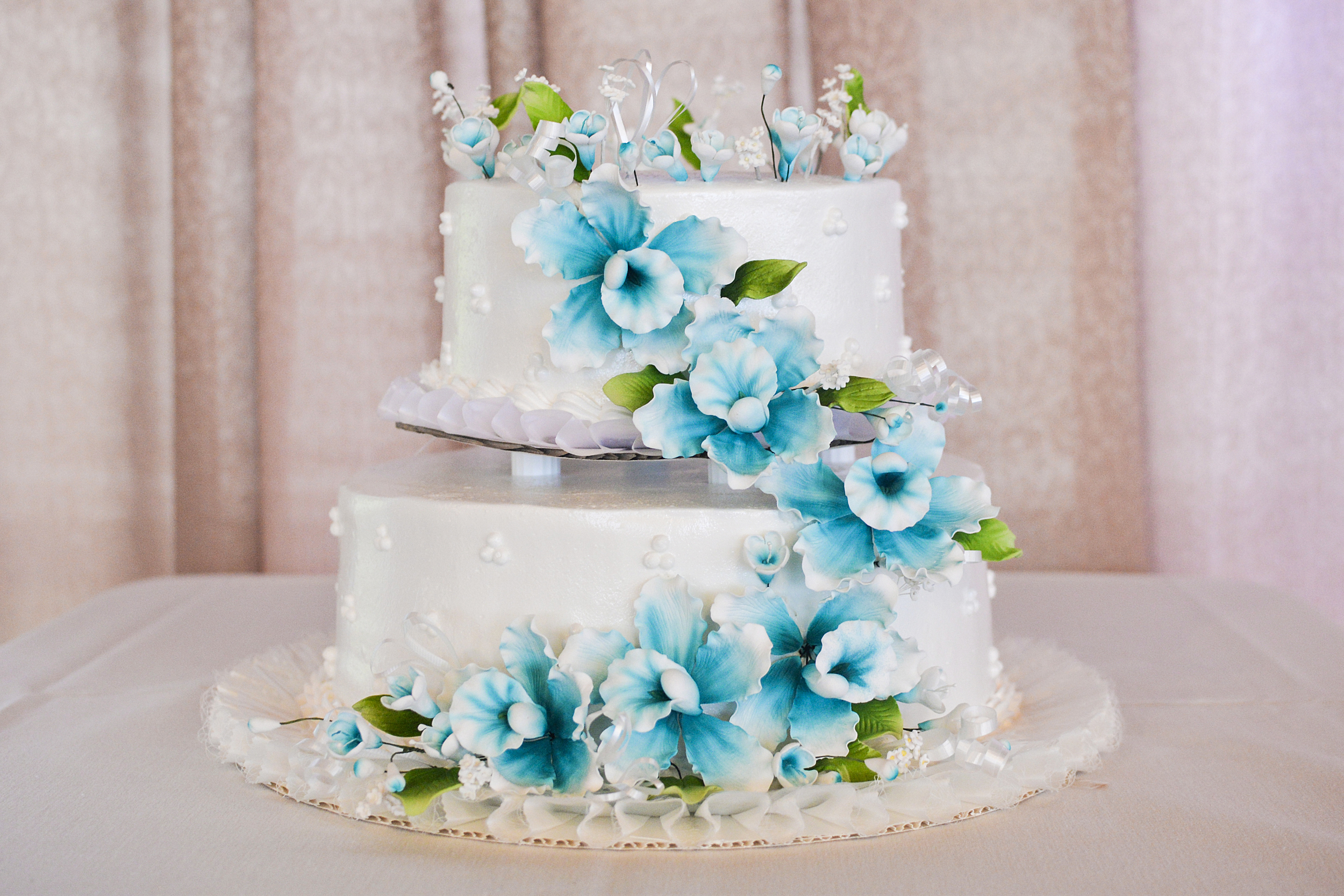 24-sea-life-park-hawaii-wedding.jpg