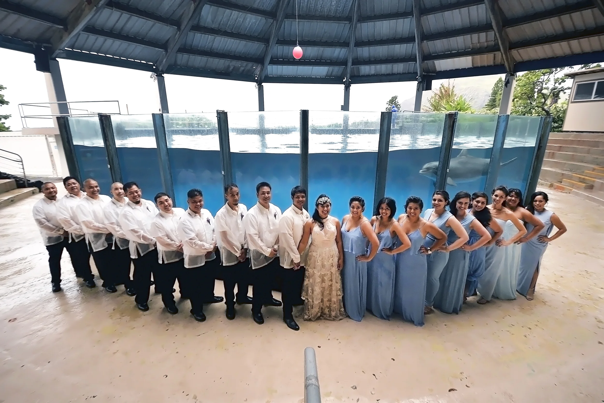 26-sea-life-park-hawaii-wedding.jpg