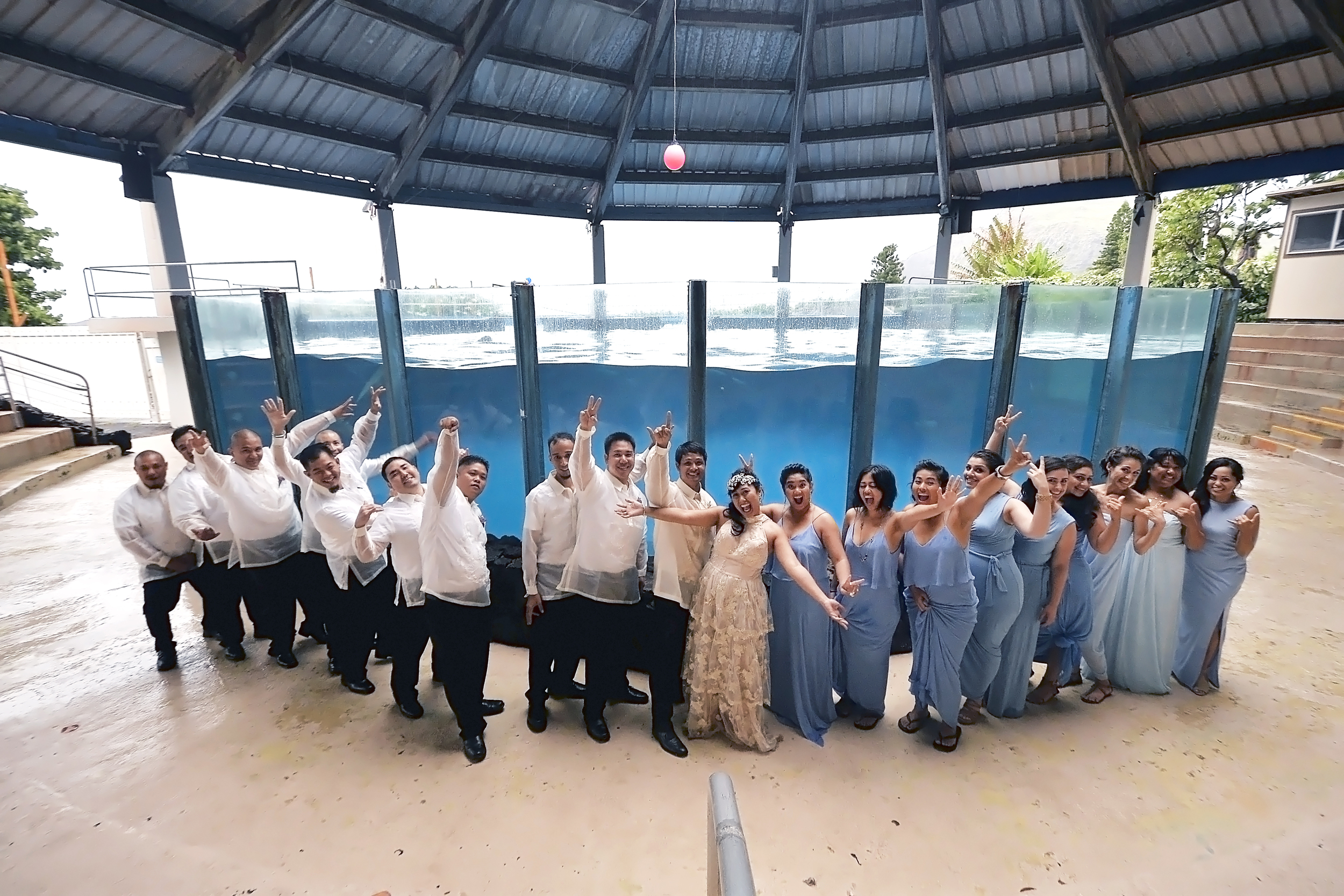 27-sea-life-park-hawaii-wedding.jpg