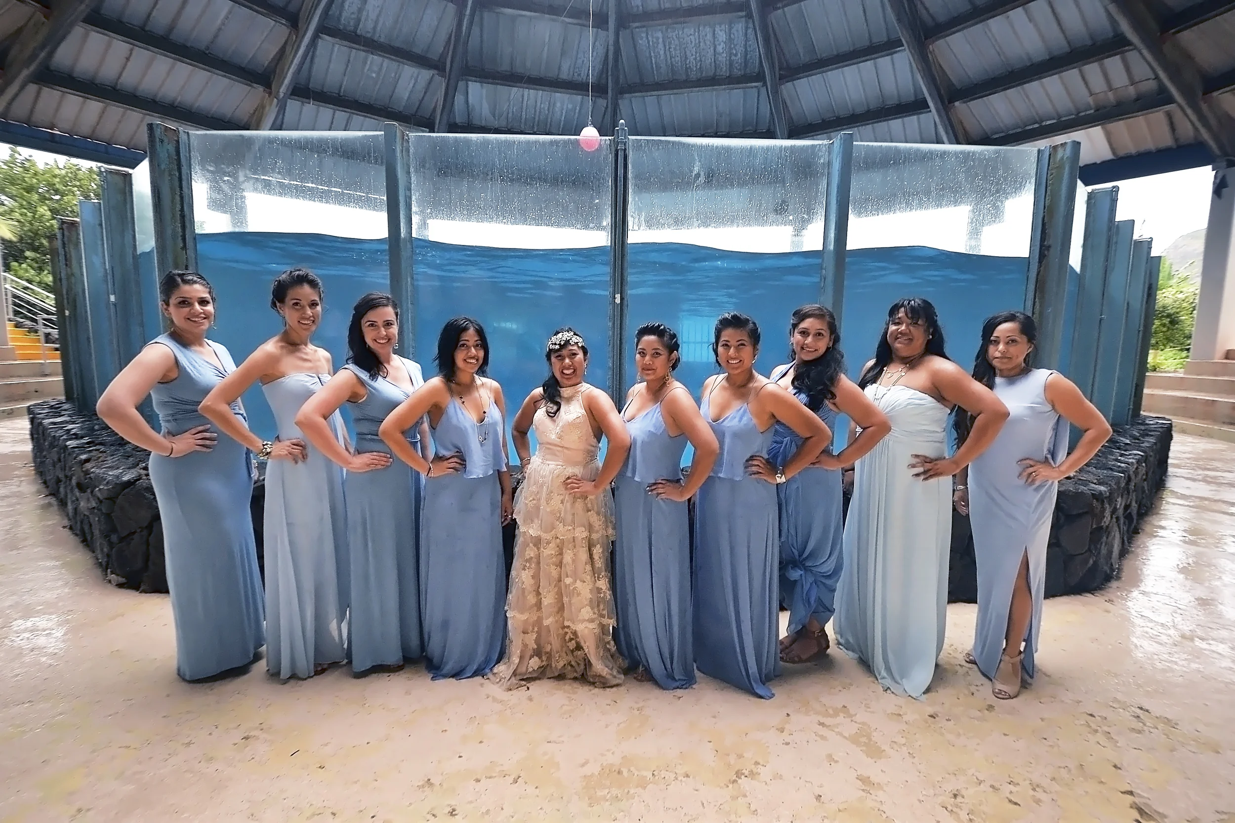 28-sea-life-park-hawaii-wedding.jpg
